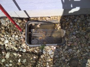 flooded sprinkler valve box