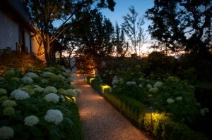 landscape lighting beautifying outdoor spaces