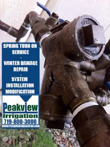 damaged backflow with list of sprinkler spring services