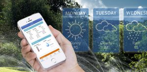 controlling sprinkler system from smart phone saving water and money